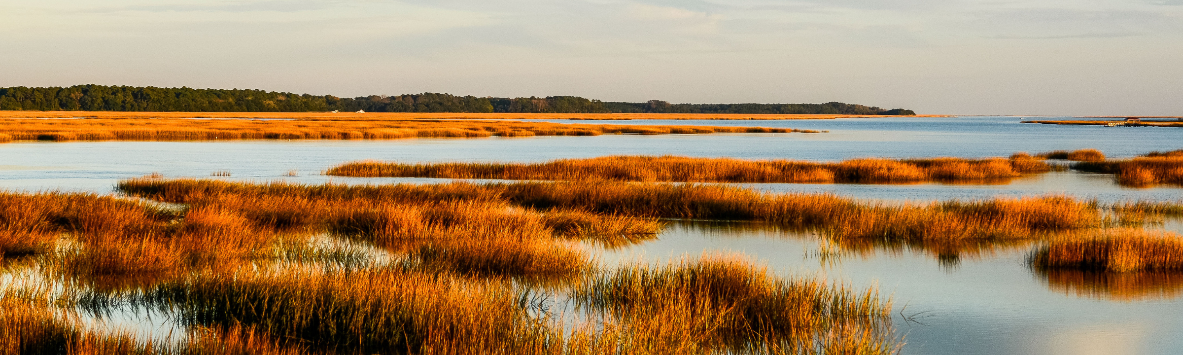 Blufton South Carolina wetlands